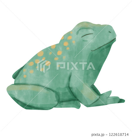 Watercolor Whimsical Tropical Green Frog with Yellow Spots on Back Illustration for Print and Web Use 122618714