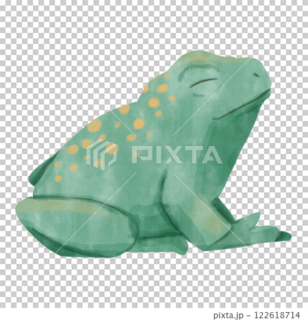Watercolor Whimsical Tropical Green Frog with Yellow Spots on Back Illustration for Print and Web Use 122618714