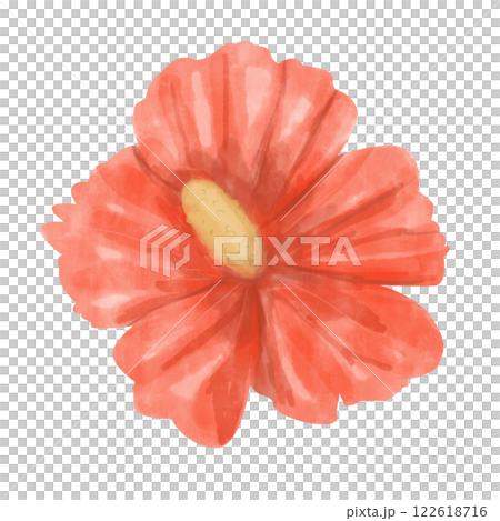 Watercolor Tropical Flower Hibiscus Red with Yellow Center Illustration Isolated for Print and Web Use 122618716