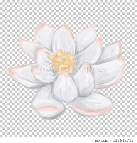 Watercolor Tropical Lotus Flower White with Pink Illustration Isolated for Print and Web Use 122618718