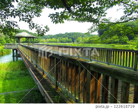 夏の21世紀の森と広場の木橋と東屋のある風景 夏の21世紀の森と広場の木橋と東屋のある風景 122618719