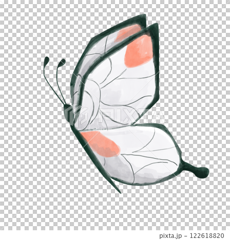 Butterfly White, Orange and Black, Insect in Flight, Side View, Watercolor Illustration for Print and Web Design 122618820