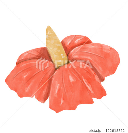 Flower Red Plants Hibiscus Picturesque Watercolor Illustration for Print and Web Design 122618822