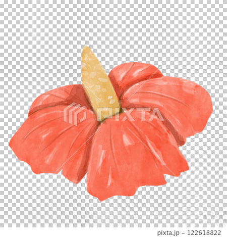 Flower Red Plants Hibiscus Picturesque Watercolor Illustration for Print and Web Design 122618822