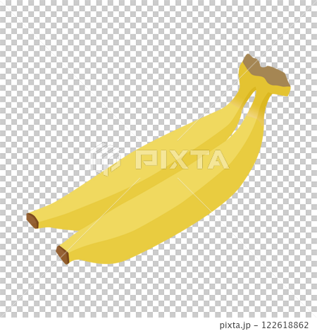 二本繋がったバナナのベクターイラスト 122618862