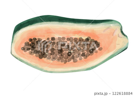 Papaya Fruit Half Cut Ripe with Black Seeds Green, Yellow and Pink Watercolor Illustration for Print and Web Design 122618884