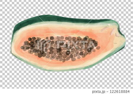 Papaya Fruit Half Cut Ripe with Black Seeds Green, Yellow and Pink Watercolor Illustration for Print and Web Design 122618884