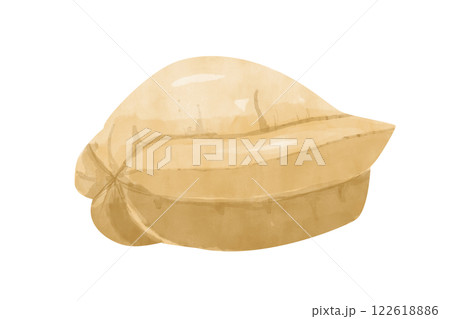 Carambola Whole Yellow Ripe Juicy Fruit Side View Watercolor Illustration for Print and Web Design 122618886