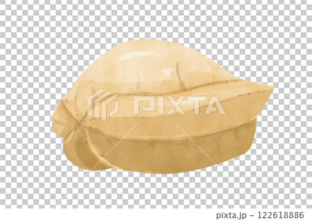 Carambola Whole Yellow Ripe Juicy Fruit Side View Watercolor Illustration for Print and Web Design 122618886