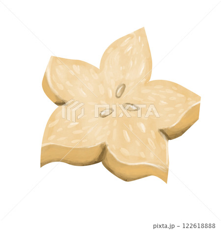 Carambola Piece Star Fruit Cut with Seeds Watercolor Illustration for Print and Web Design 122618888