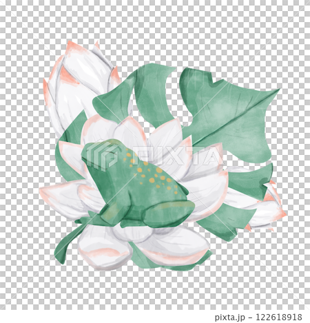 Watercolor Composition Green Monstera Leaf with White Water Lilies and Green Toad Illustration Digital for Printing and Web 122618918