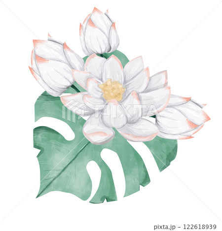 Watercolor Tropical Composition Huge Monstera Leaf, Lotus Flowers and Buds, Water Lily Illustration Digital for Printing and Web 122618939