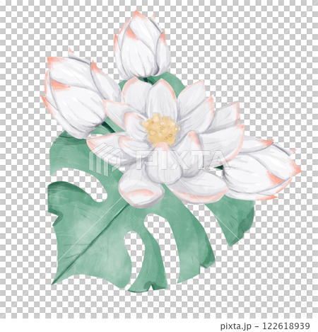 Watercolor Tropical Composition Huge Monstera Leaf, Lotus Flowers and Buds, Water Lily Illustration Digital for Printing and Web 122618939
