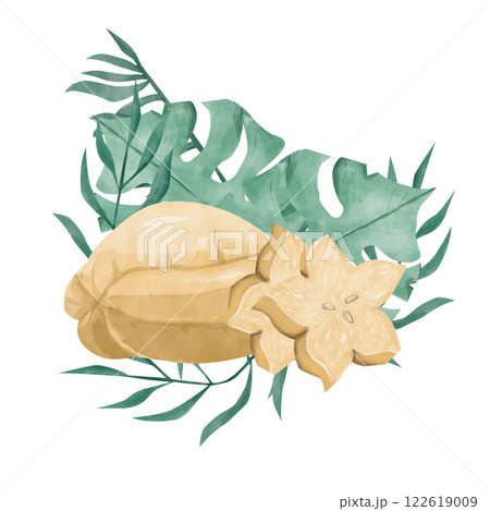 Watercolor Ripe Carambola Fruit with Pieces and Tropical Foliage, Composition Illustration for Printing, Web and Textiles Watercolor Ripe Carambola Fruit with Pieces and Tropical Foliage, Composition Illustration for Printing, Web and Textiles 122619009