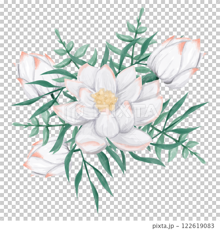 Watercolor Arrangement with White and Pink Water Lily Flowers and Tropical Plants, Composition Illustration for Printing, Web and Textiles Watercolor Arrangement with White and Pink Water Lily Flowers and Tropical Plants, Composition Illustration for Printing, Web and Textiles 122619083