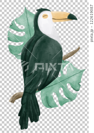 Watercolor Toucan Bird Sitting on a Branch with Large Exotic Monstera Leaves, Composition Illustration for Printing, Web and Textiles 122619087
