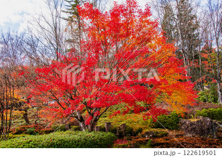 仙台市　定義　極楽山西方寺　日本庭園の紅葉 122619501