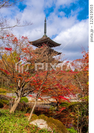 仙台市　定義　極楽山西方寺　五重塔 日本庭園 122619503