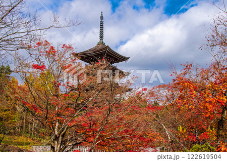 仙台市　定義　極楽山西方寺　五重塔 日本庭園 122619504