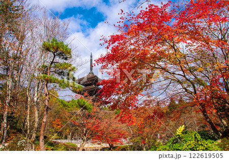 仙台市　定義　極楽山西方寺　五重塔 日本庭園 122619505
