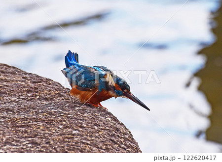 ロックオン ロックオン 122620417