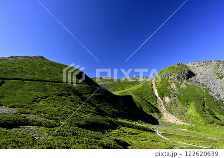 夏の乗鞍 畳平からの風景（撮影地：乗鞍、畳平バスターミナル付近） 122620639