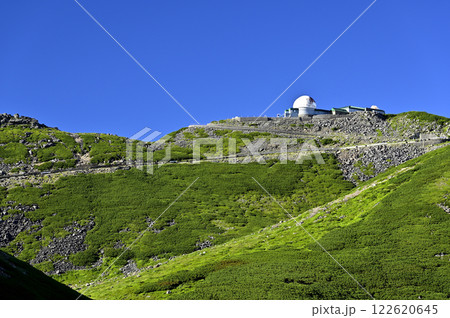 夏の乗鞍 畳平からの風景（撮影地：乗鞍、畳平バスターミナル付近） 122620645