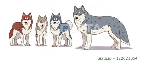 Husky dogs family colorful cartoon illustration. Four playful huskies in various shades stand on a white backdrop showcasing breed diversity and companionship Husky dogs family colorful cartoon illustration. Four playful huskies in various shades stand on a white backdrop showcasing breed diversity and companionship 122621054