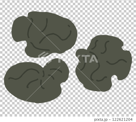 木耳菇的圖解 122621204