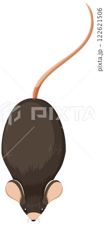 Top View of a Mouse Illustration 122621506
