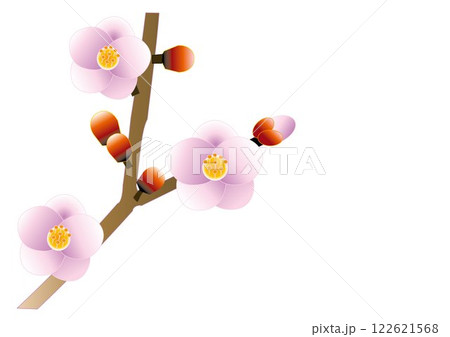 シンプルな梅のイラスト~春の便り 122621568