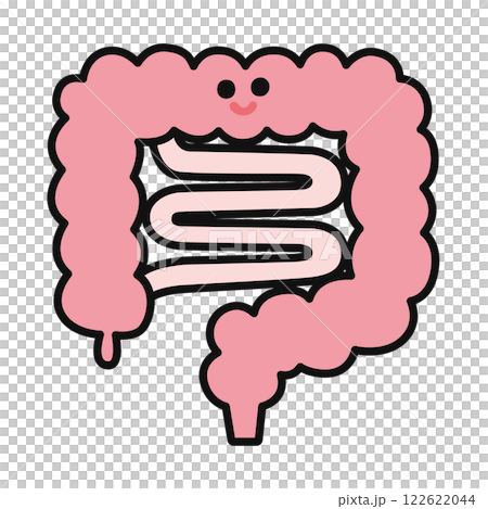 Cute large intestine and small intestine 122622044