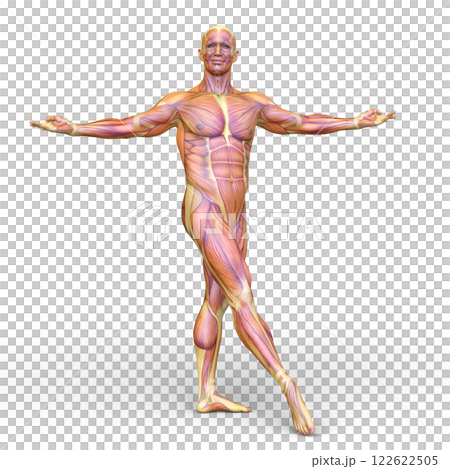 A man who poses 122622505