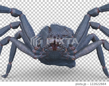  一隻蜘蛛 122622664