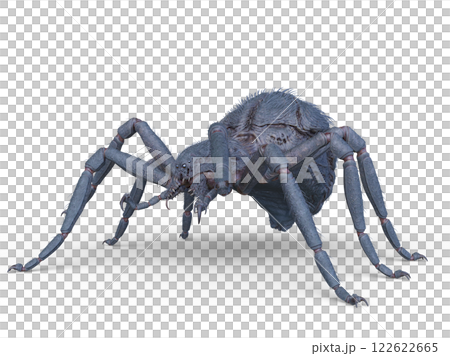  一隻蜘蛛 122622665