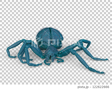  一隻蜘蛛 122622666