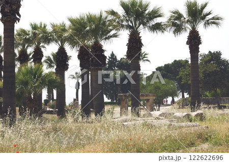 トルコ パムッカレの風景 122622696