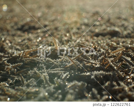 霜の降りた枯芝に降り注ぐ朝日(朝の公園広場) 霜の降りた枯芝に降り注ぐ朝日(朝の公園広場) 122622761