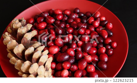 Cranberries in rich shades of red contrast with natural pinecones on plate, representing organic simplicity. Eco-conscious arrangement celebrates beauty of organic produce, highlighting eco values. 122623215