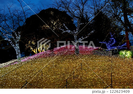知立新地ドリームパークのクリスマスイルミネーション 122623409
