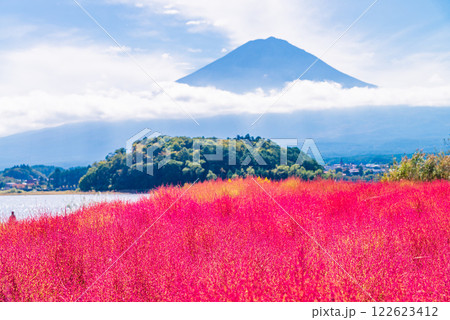 【山梨県】朝の光を浴びて、赤く光るコキアと富士山 122623412