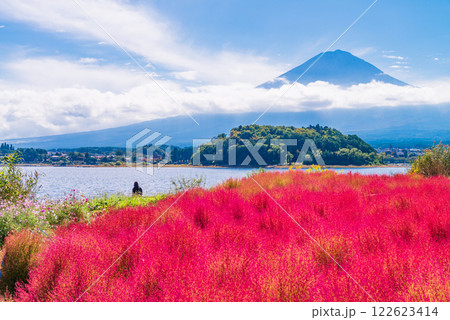 【山梨県】朝の光を浴びて、赤く光るコキアと富士山 122623414