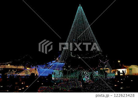 知立新地ドリームパークのクリスマスイルミネーション 知立新地ドリームパークのクリスマスイルミネーション 122623428
