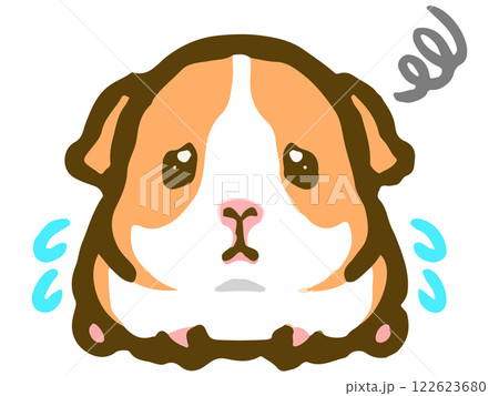 ゆるかわなモルモットの落書き風イラスト素材5 122623680