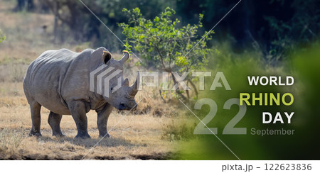 World rhino day 122623836