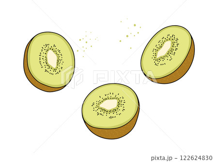 かわいいキウイフルーツのイラスト 122624830