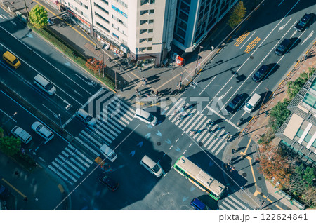 冬の東京の街並み 冬の東京の街並み 122624841