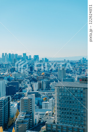冬の東京の街並み 122624851