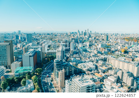 冬の東京の街並み 122624857