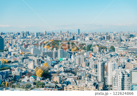 冬の東京の街並み 122624866